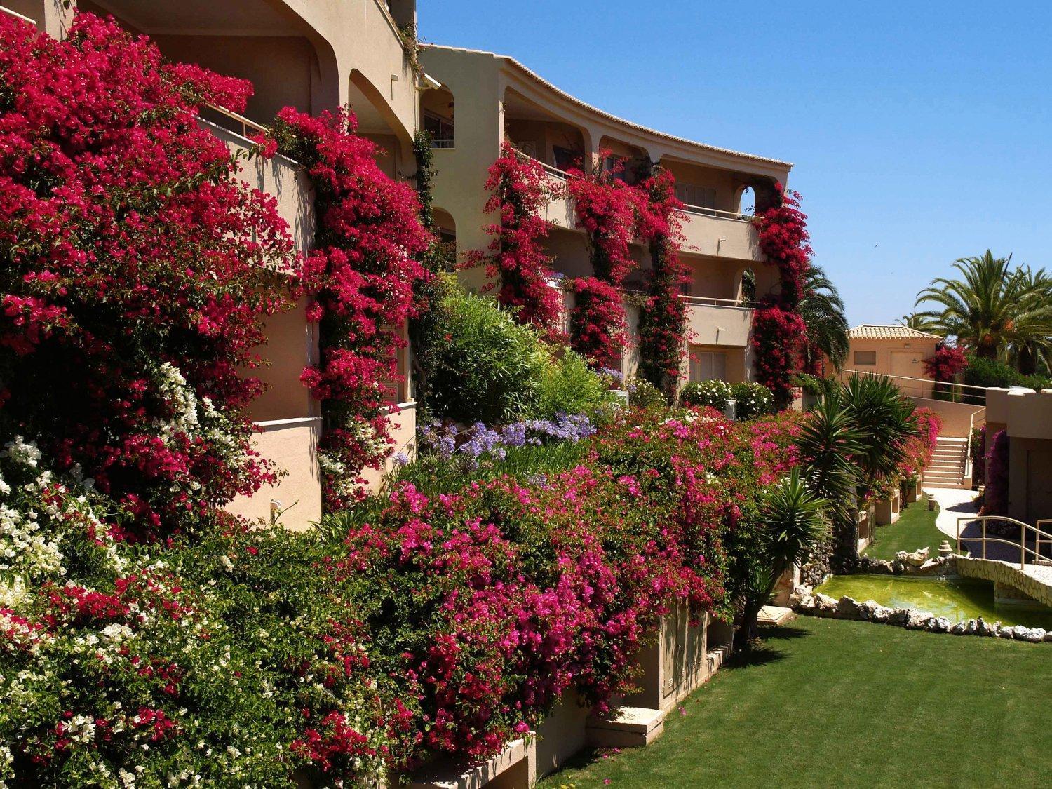 Apartamento Palmeira Lagos